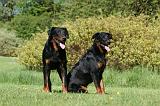 BEAUCERON 922